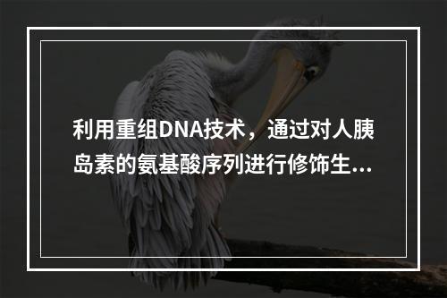 利用重组DNA技术，通过对人胰岛素的氨基酸序列进行修饰生成的