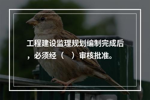 工程建设监理规划编制完成后，必须经（　）审核批准。