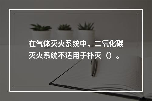 在气体灭火系统中，二氧化碳灭火系统不适用于扑灭（）。