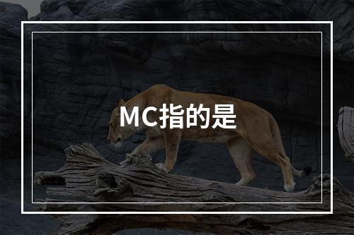 MC指的是