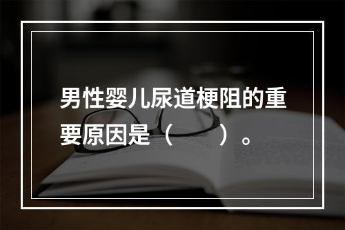 男性婴儿尿道梗阻的重要原因是（　　）。