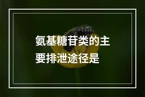 氨基糖苷类的主要排泄途径是