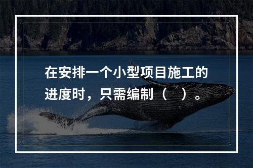 在安排一个小型项目施工的进度时，只需编制（　）。