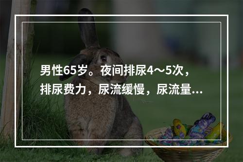 男性65岁。夜间排尿4～5次，排尿费力，尿流缓慢，尿流量测定