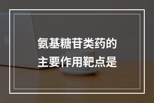 氨基糖苷类药的主要作用靶点是