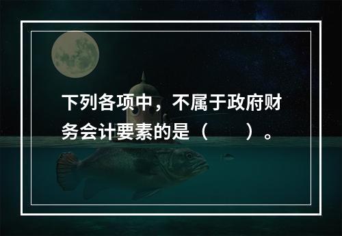 下列各项中，不属于政府财务会计要素的是（　　）。