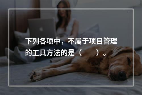 下列各项中，不属于项目管理的工具方法的是（　　）。