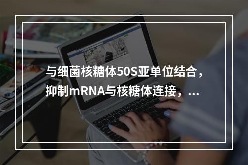 与细菌核糖体50S亚单位结合，抑制mRNA与核糖体连接，阻止