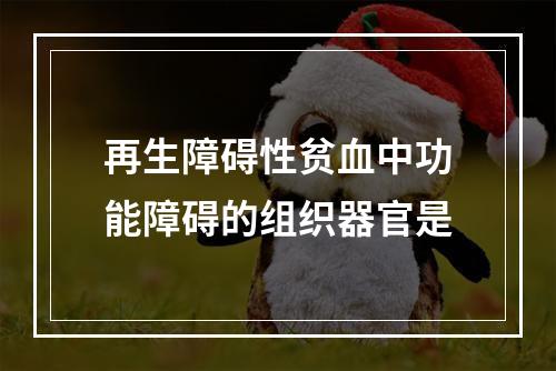 再生障碍性贫血中功能障碍的组织器官是