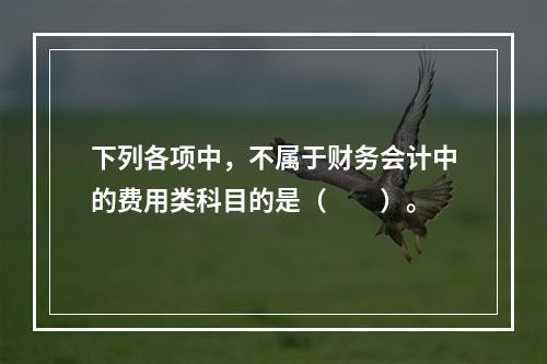 下列各项中，不属于财务会计中的费用类科目的是（　　）。