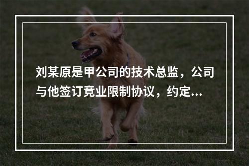 刘某原是甲公司的技术总监，公司与他签订竞业限制协议，约定合同