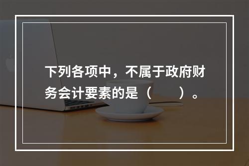 下列各项中，不属于政府财务会计要素的是（　　）。