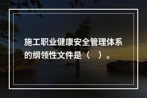 施工职业健康安全管理体系的纲领性文件是（　）。