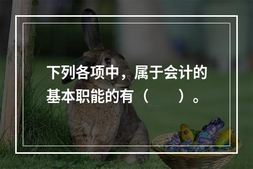 下列各项中，属于会计的基本职能的有（　　）。