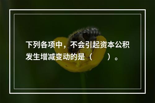 下列各项中，不会引起资本公积发生增减变动的是（　　）。