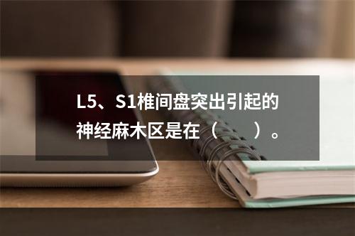 L5、S1椎间盘突出引起的神经麻木区是在（　　）。