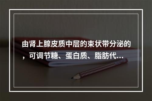 由肾上腺皮质中层的束状带分泌的，可调节糖、蛋白质、脂肪代谢的