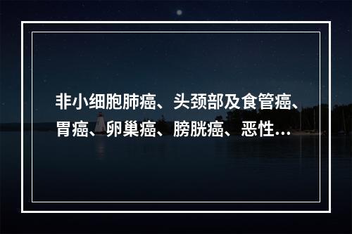 非小细胞肺癌、头颈部及食管癌、胃癌、卵巢癌、膀胱癌、恶性淋巴