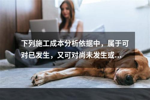 下列施工成本分析依据中，属于可对已发生，又可对尚未发生或正在