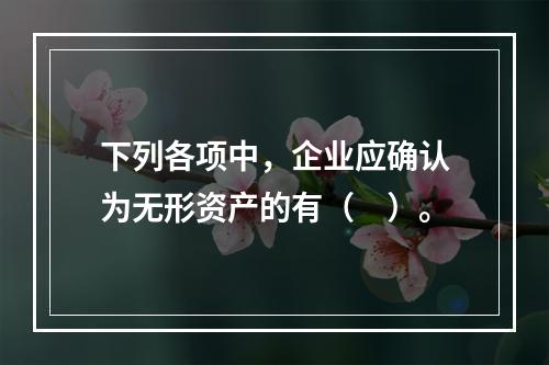 下列各项中，企业应确认为无形资产的有（　）。