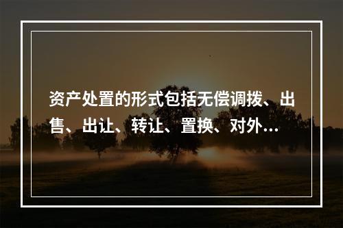 资产处置的形式包括无偿调拨、出售、出让、转让、置换、对外捐赠