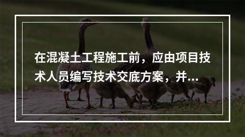 在混凝土工程施工前，应由项目技术人员编写技术交底方案，并经（