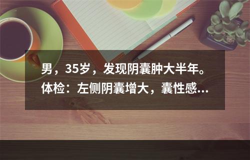 男，35岁，发现阴囊肿大半年。体检：左侧阴囊增大，囊性感，透