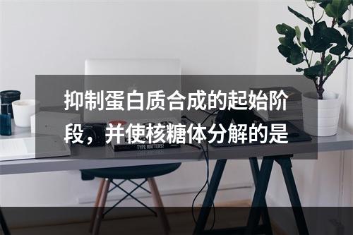 抑制蛋白质合成的起始阶段，并使核糖体分解的是