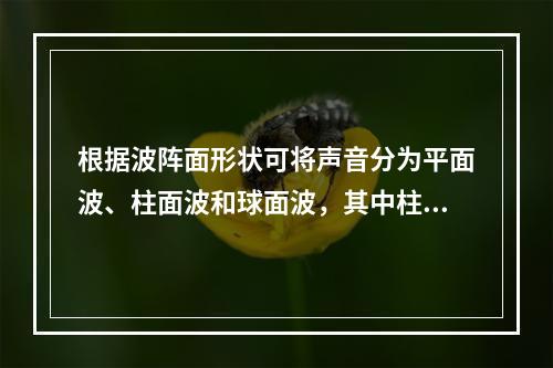 根据波阵面形状可将声音分为平面波、柱面波和球面波，其中柱面