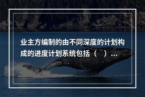 业主方编制的由不同深度的计划构成的进度计划系统包括（　）。