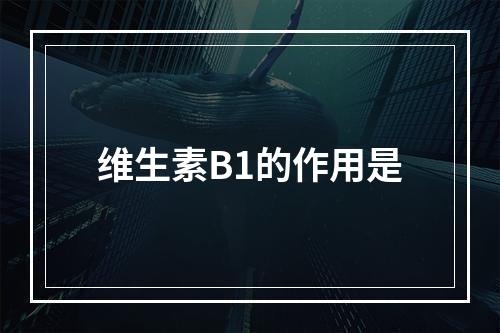 维生素B1的作用是