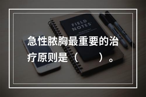 急性脓胸最重要的治疗原则是（　　）。