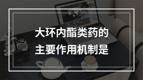 大环内酯类药的主要作用机制是