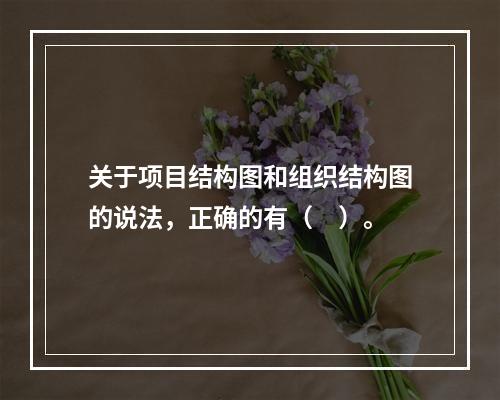 关于项目结构图和组织结构图的说法，正确的有（　）。