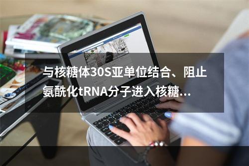 与核糖体30S亚单位结合、阻止氨酰化tRNA分子进入核糖体A