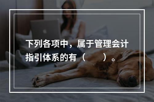 下列各项中，属于管理会计指引体系的有（　　）。