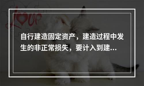 自行建造固定资产，建造过程中发生的非正常损失，要计入到建造成