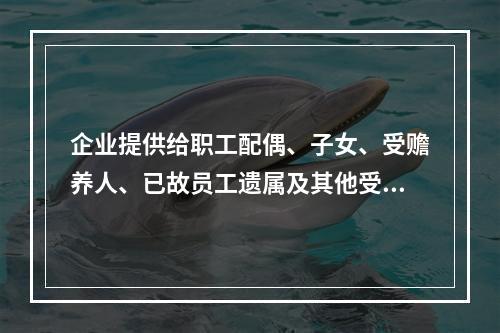 企业提供给职工配偶、子女、受赡养人、已故员工遗属及其他受益人