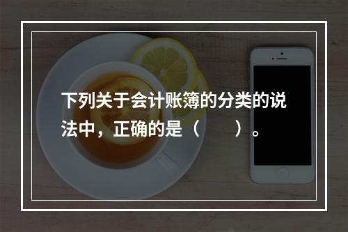 下列关于会计账簿的分类的说法中，正确的是（　　）。