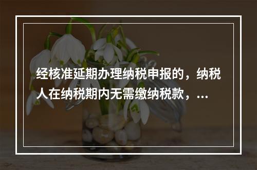 经核准延期办理纳税申报的，纳税人在纳税期内无需缴纳税款，只需