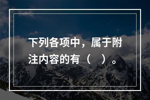 下列各项中，属于附注内容的有（　）。