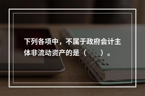 下列各项中，不属于政府会计主体非流动资产的是（　　）。