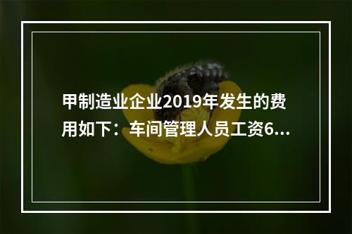 甲制造业企业2019年发生的费用如下：车间管理人员工资60万