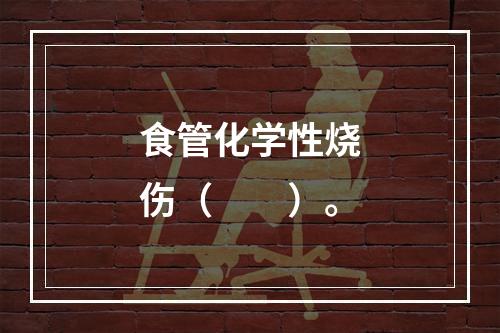 食管化学性烧伤（　　）。