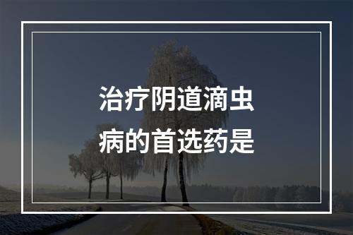 治疗阴道滴虫病的首选药是