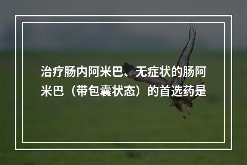 治疗肠内阿米巴、无症状的肠阿米巴（带包囊状态）的首选药是