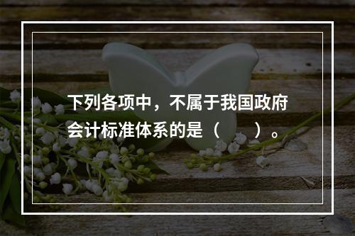 下列各项中，不属于我国政府会计标准体系的是（　　）。