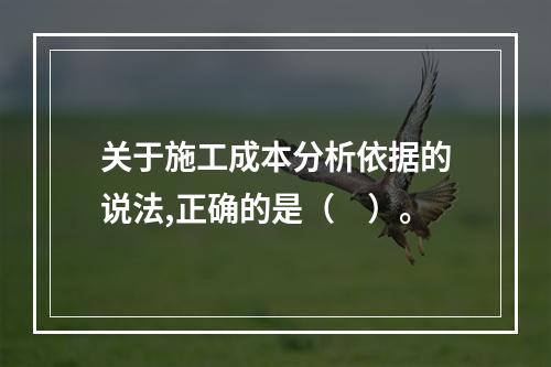 关于施工成本分析依据的说法,正确的是（　）。