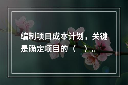 编制项目成本计划，关键是确定项目的（　）。