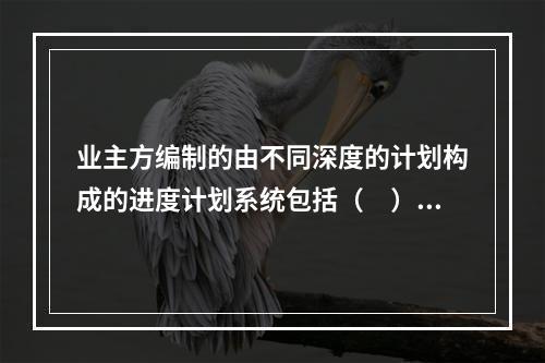 业主方编制的由不同深度的计划构成的进度计划系统包括（　）。